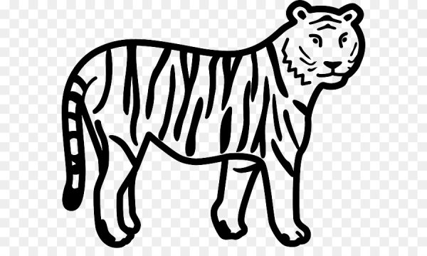 Тигр рисунок карандашом для детей