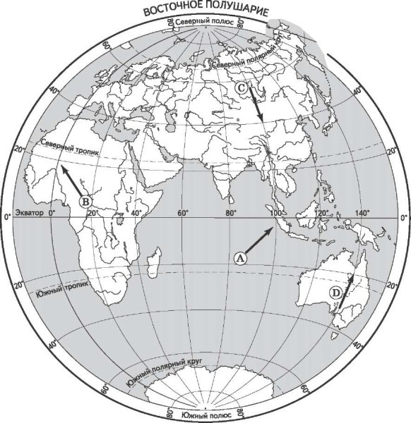 Раскраска полушария земли