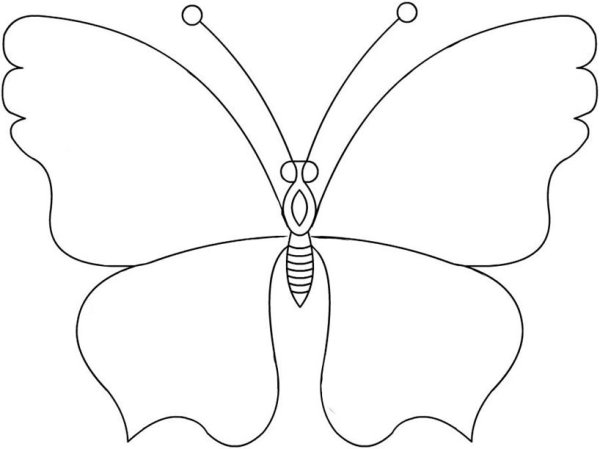 Трафарет бабочки для рисования