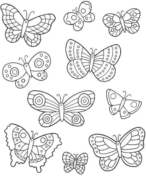 Раскраска "бабочки"