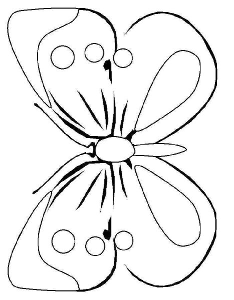 Раскраска "бабочки"