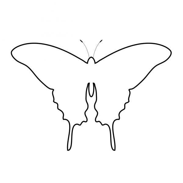 Контур бабочки трафарет