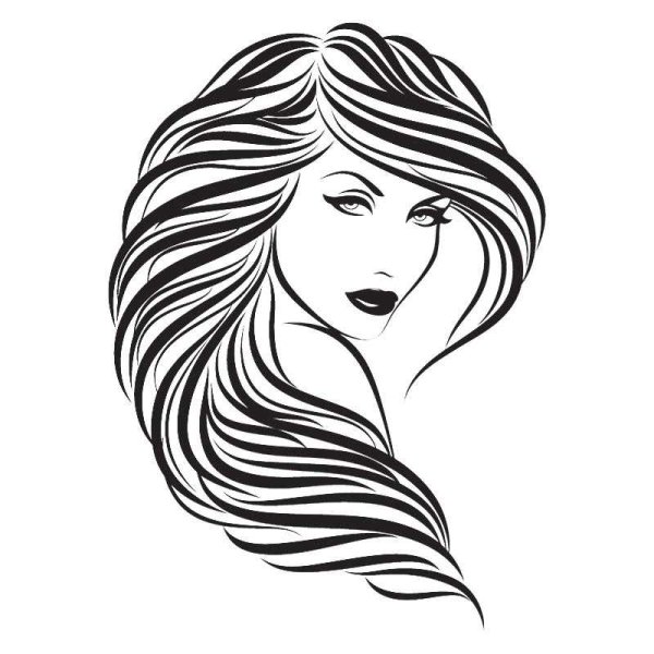 Силуэт девушки с прической