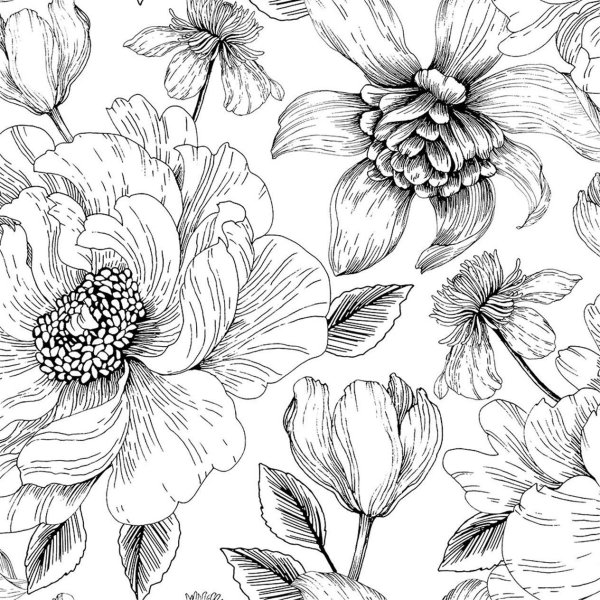 Цветы Графика