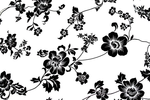 Черно-белый цветок