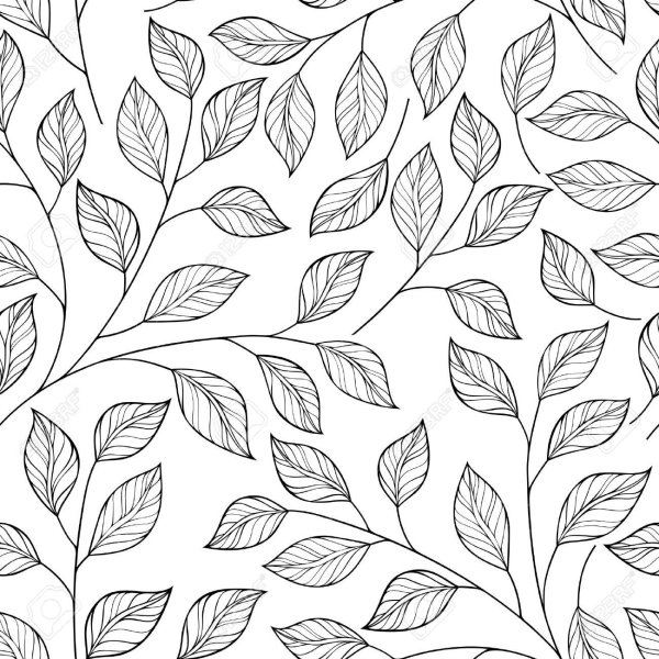 Орнамент листья черно белый