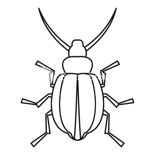 Майский Жук раскраска