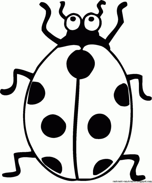 Насекомые контур