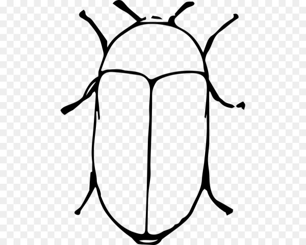 Раскраска Божья коровк