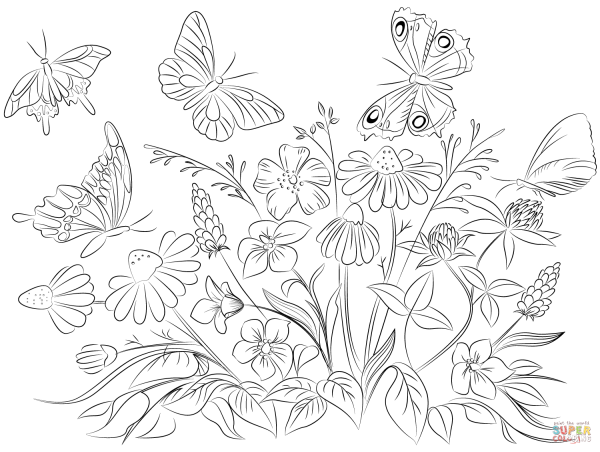 Солнце раскраска для детей