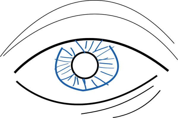 Стилизованное изображение глаза
