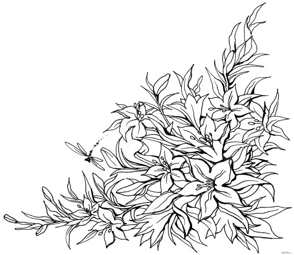 Цветы рисунок