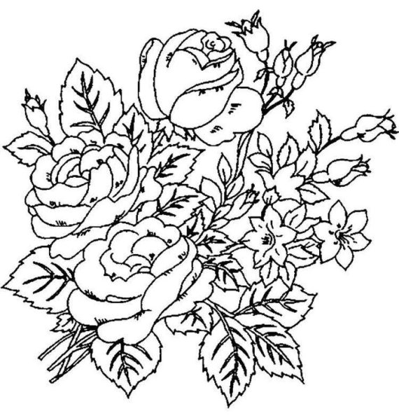 Раскраски цветы красивые