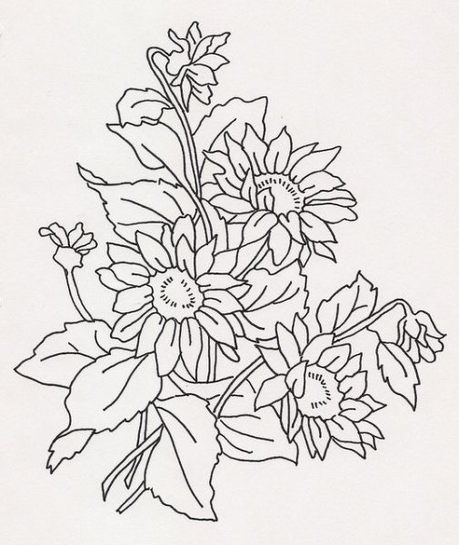 Вышивка гладью Подсолнухи схемы