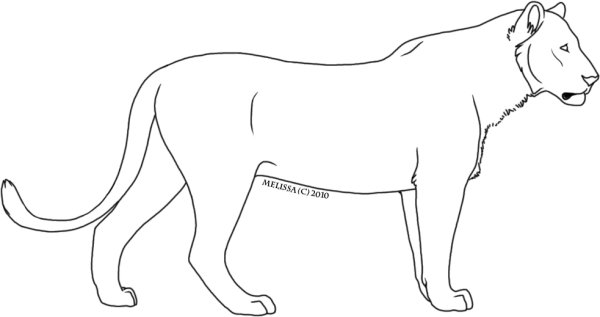 Тигр без полосок раскраска