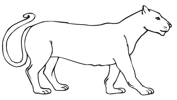 Львица контур