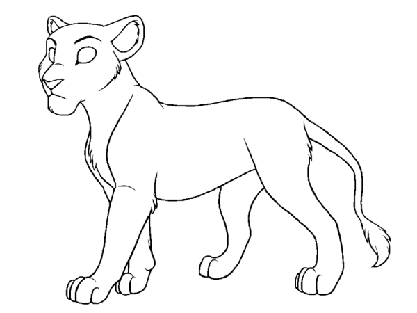 Раскраска львица