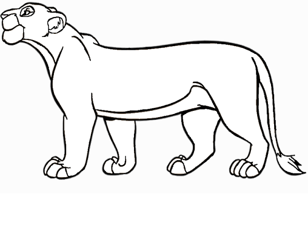 Король Лев Сараби