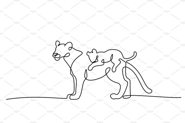 Львица линии