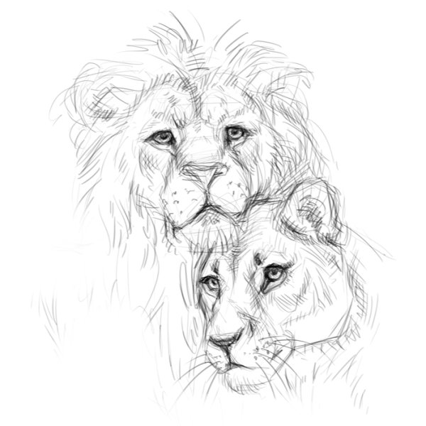 Львица Графика