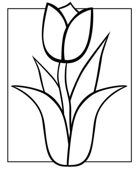 Тюльпан раскраска для детей