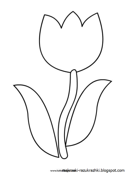 Тюльпан раскраска