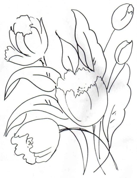Трафарет тюльпана для рисования