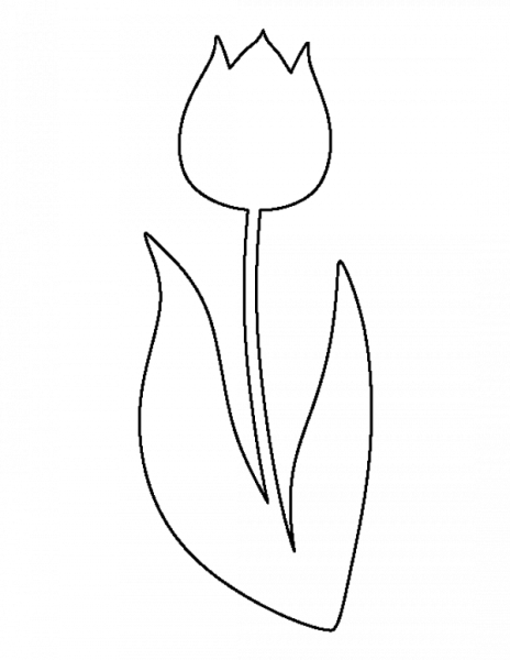 Тюльпан раскраска для детей