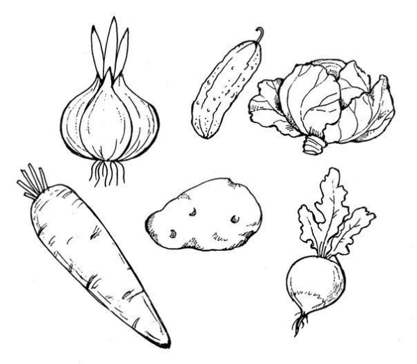 Овощи шаблон для рисования