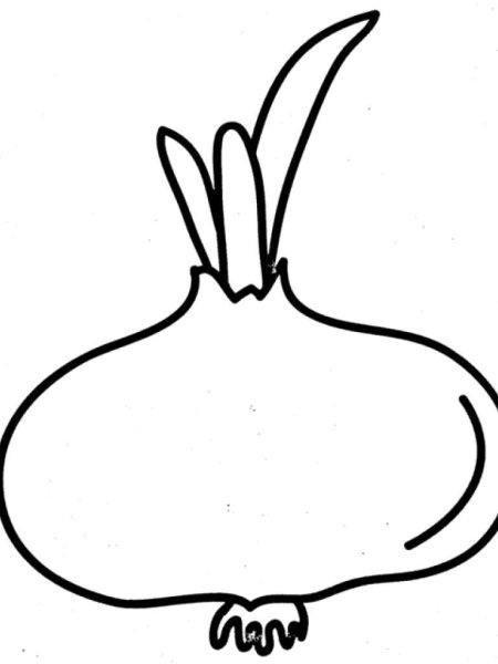 Помидор раскраска