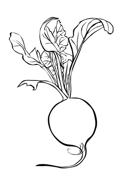 Баклажан раскраска