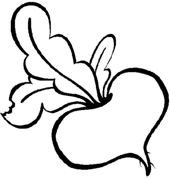 Капуста раскраска