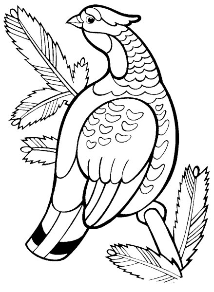 Тетерев Косач раскраска