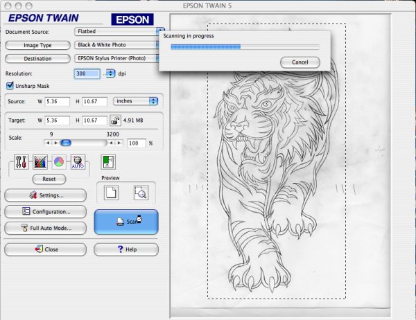 Силуэт женской фигуры