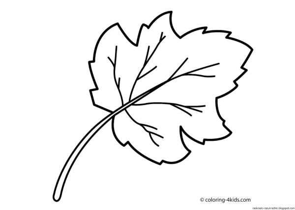 Листья раскраска