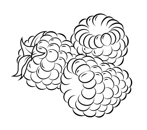 Малина раскраска для детей