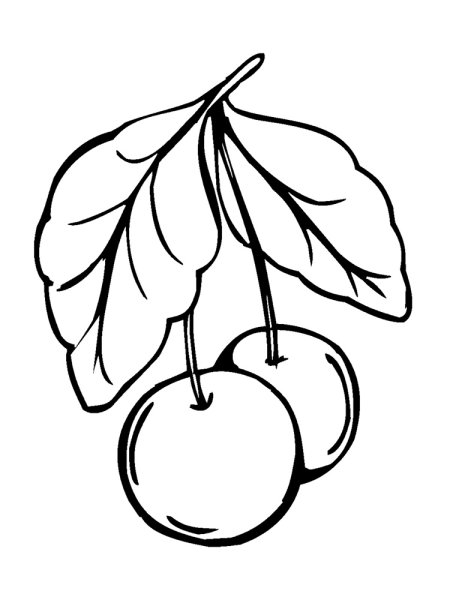 Ягоды. Раскраска для малышей