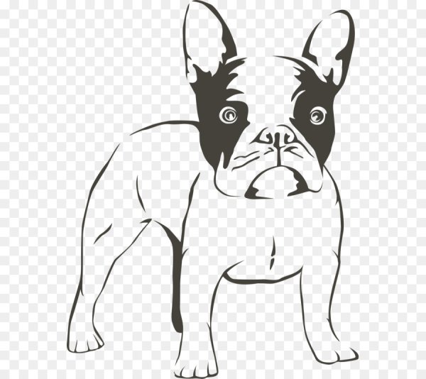 Раскраска французский бульдог