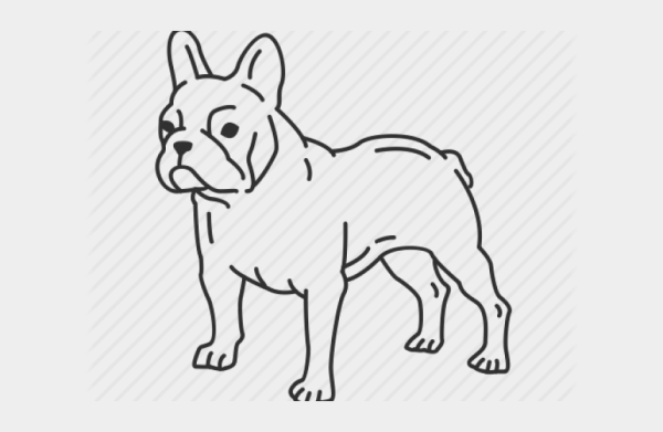 Французский бульдог