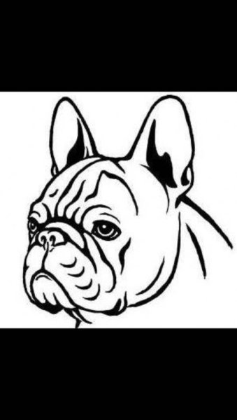 Французский бульдог трафарет