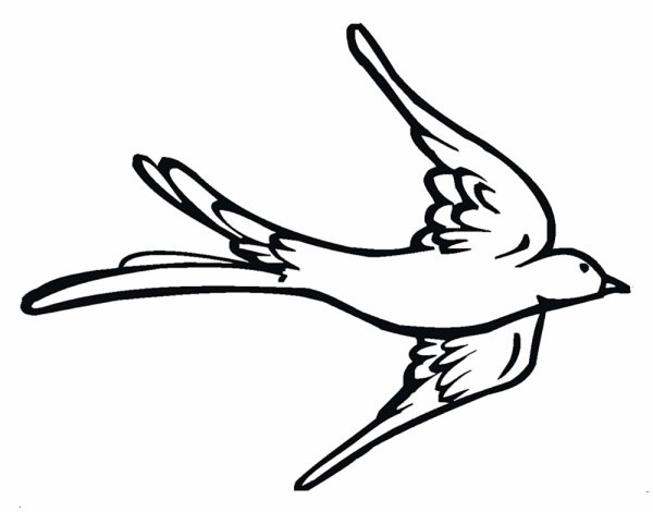 Ласточка раскраска