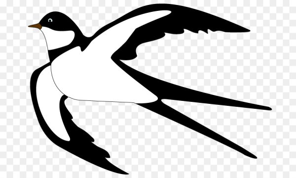 Ласточка раскраска для детей