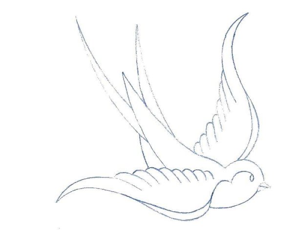 Ласточка раскраска для детей