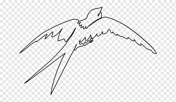 Расскраскиперелетные птицы