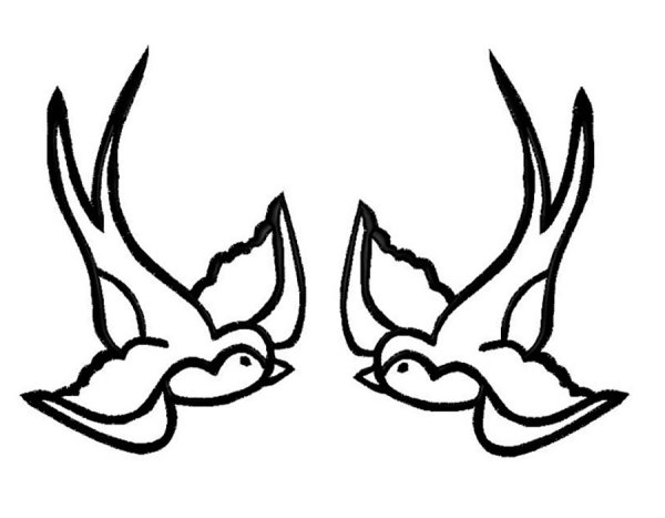 Птица Ласточка раскраска для детей