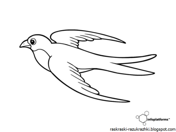 Ласточка рисунок черно белый