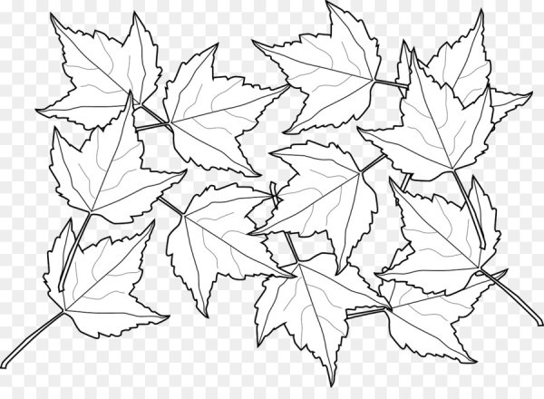 Осенние листья черно белые