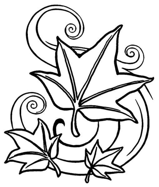 Осенний букет раскраска