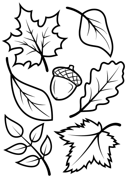 Осенние листья раскраска для детей