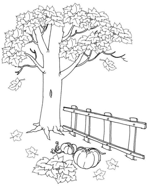 Осенний пейзаж раскраска для детей